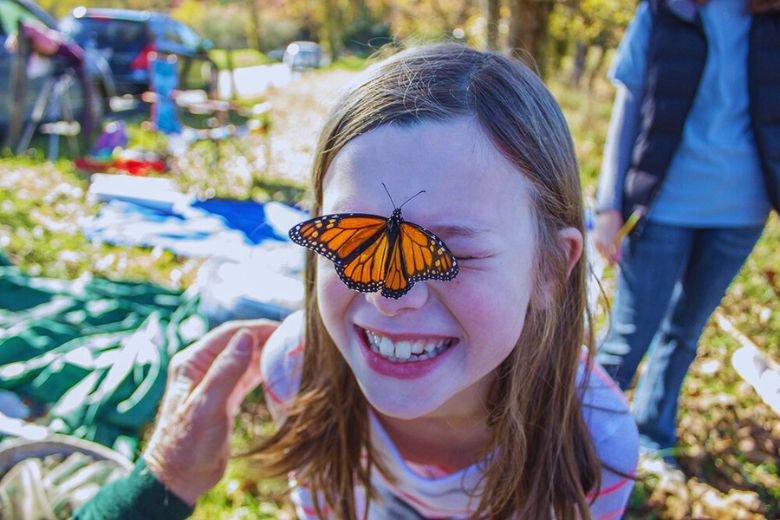 Top 7 Educational Experiences in Pigeon Forge